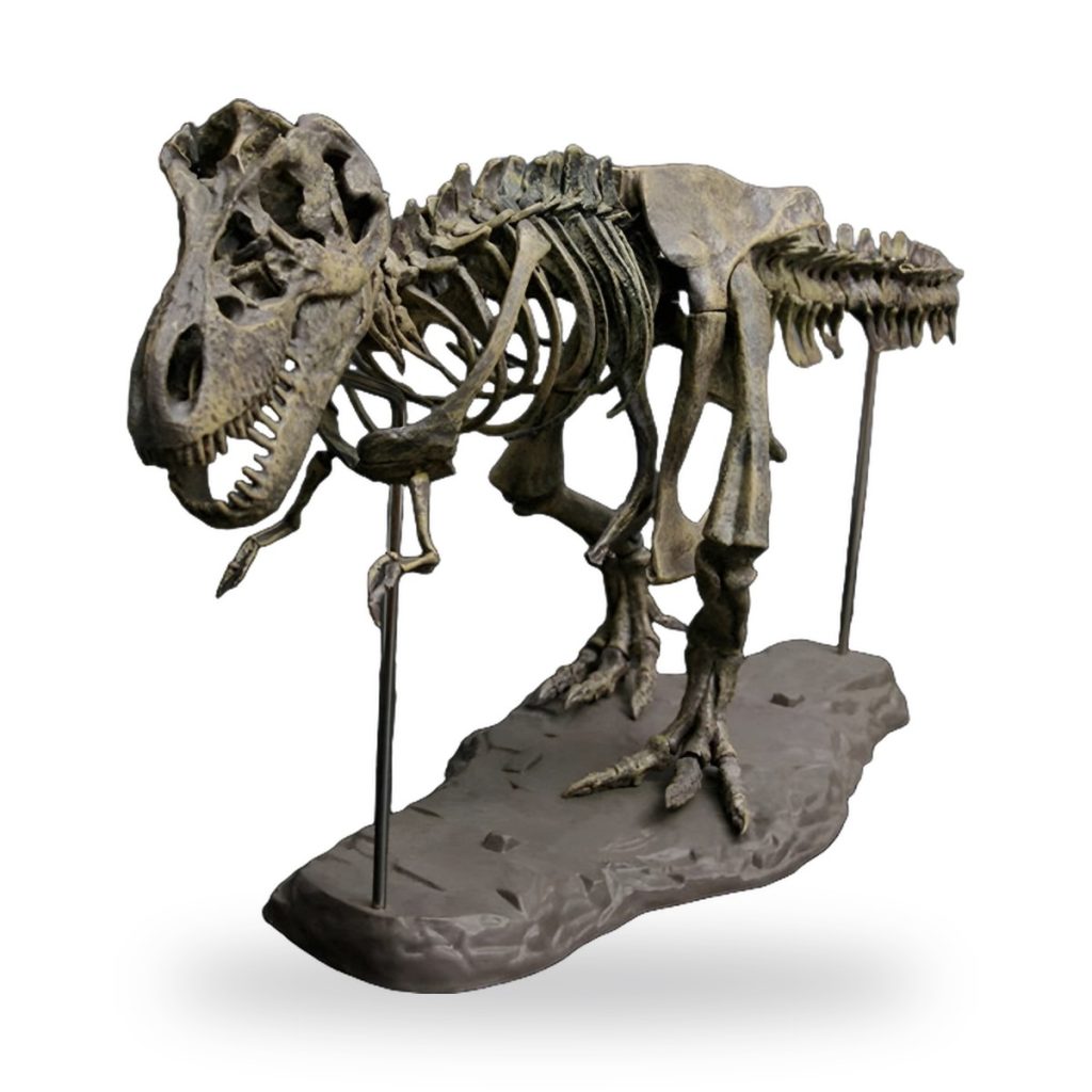 Unpainted T-Rex skeleton fossil toy model on rocky base with metal supports.